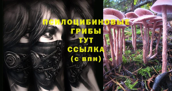 альфа пвп Беломорск