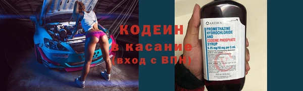 гашик Семилуки